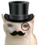 fancybruhcat emote for Discord
