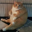 faty emote for Discord