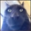 fartCat emote for Discord