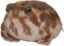 FatFrog emote for Discord