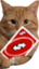 FasaNoU emote for Discord