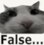 Falsecat emote for Discord
