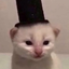 FancyCat emote for Discord