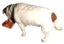 FatDog emote for Discord