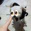 FALOMWOLSOMPOG emote for Discord