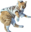fancycat emote for Discord