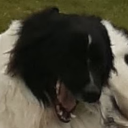 FaithAAAA static emote for Discord, Twitch and Slack