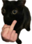 fakju emote for Discord