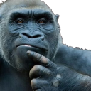 fanjoy static emote for Discord, Twitch and Slack