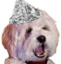 farlspiracy emote for Discord