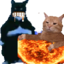 fatcatsittingonsunwhile emote for Discord