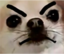 FaDog emote for Discord