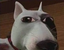 FapParaMoarrJuegaDoom emote for Discord