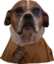 factsdog emote for Discord