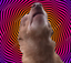 EsteVibe emote for Discord