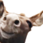 EselHappy emote for Discord
