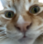 euh emote for Discord