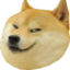EvilDoge emote for Discord