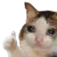 EverythingsOkay emote for Discord