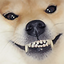 evildog emote for Discord