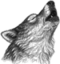 evanWolf emote for Discord