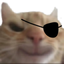 EvilPirateCat emote for Discord
