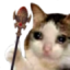 EvokerOke emote for Discord