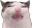 eww emote for Discord
