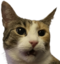 EW emote for Discord