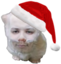 ewprobb emote for Discord
