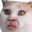 eww emote for Discord