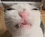 EWWW emote for Discord