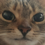 Ewwhy emote for Discord
