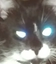 FelixLookingAtYou emote for Discord