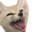 fenBaited emote for Discord