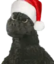 felinavizilla emote for Discord