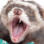 ferretLUL emote for Discord