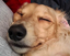 FEELSSLEEPYMAN emote for Discord