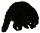 FERALMODE static emote for Discord, Twitch and Slack