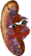 FeelsSausadgeMan emote for Discord
