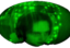 feliBigBrain emote for Discord