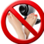 FeetCam emote for Discord