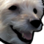 FeelsDogMan emote for Discord
