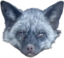 FennFace emote for Discord