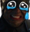 feralwSob emote for Discord