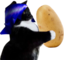 felipotato emote for Discord
