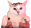 feelsTom emote for Discord