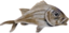 feesh emote for Discord