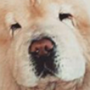 FeelsCaesarMan static emote for Discord, Twitch and Slack