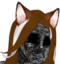 FeralHaruPain emote for Discord